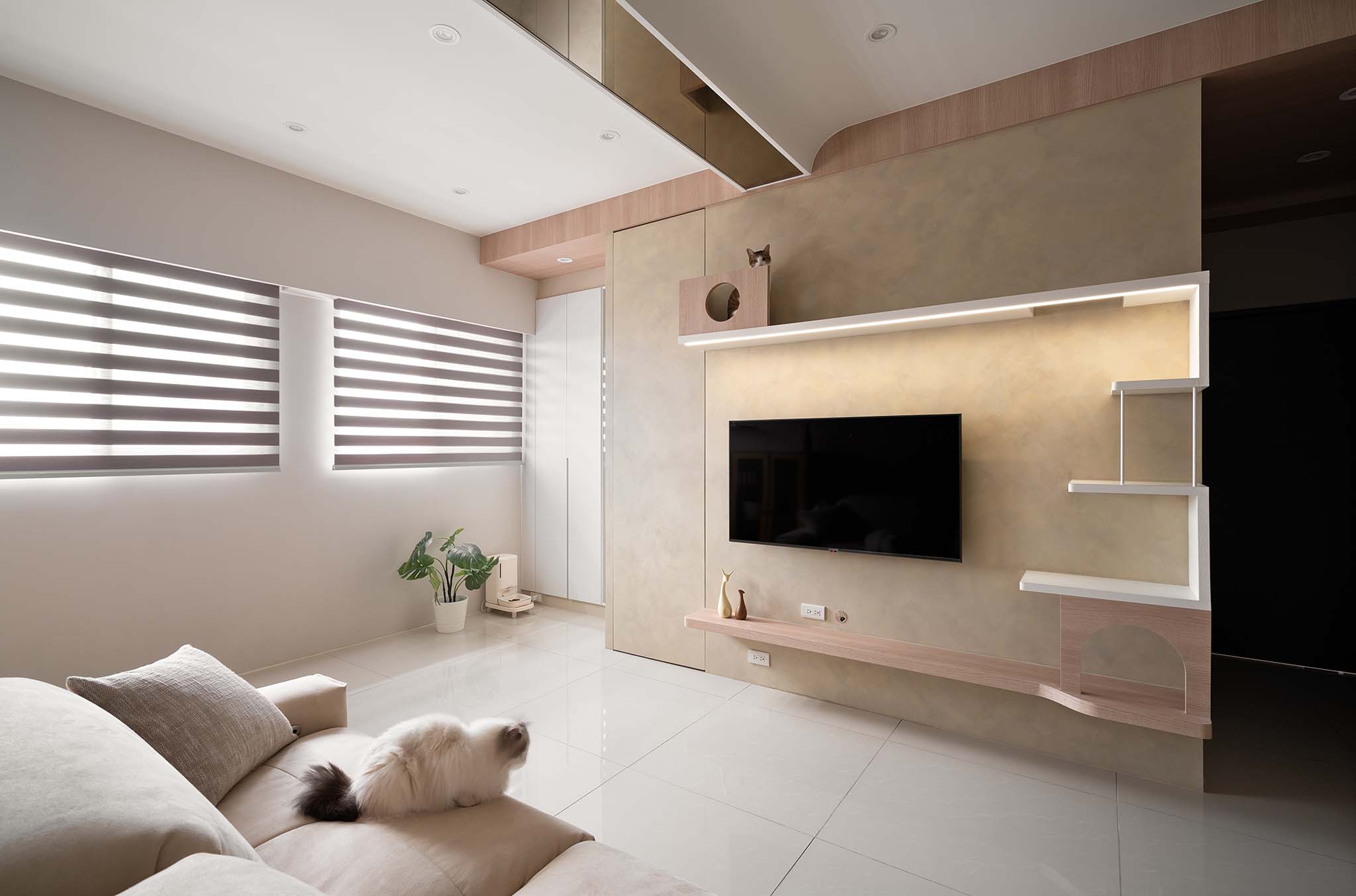 人貓共居 溫柔日常 